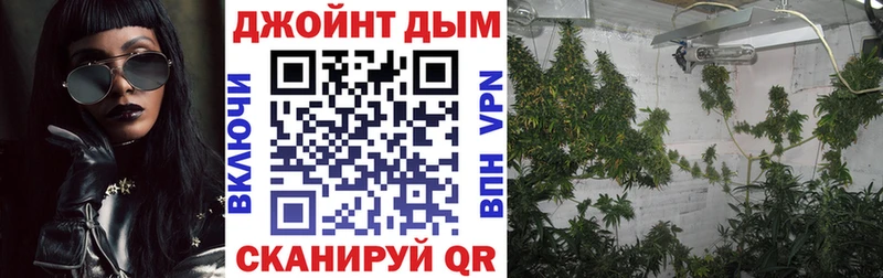 Купить наркотики Вичуга ГАШ  СОЛЬ  Меф мяу мяу  АМФЕТАМИН  Метадон  Лсд 25  Конопля 