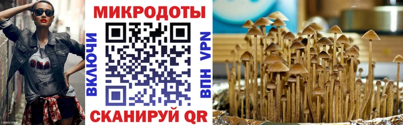 Псилоцибиновые грибы GOLDEN TEACHER Вичуга
